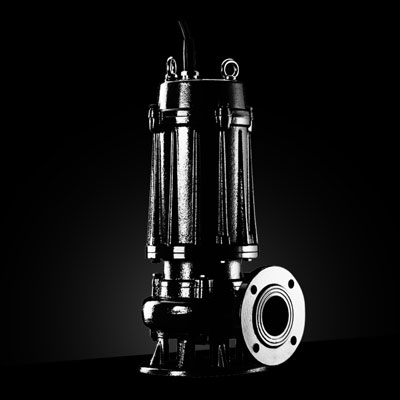 南方泵業(yè)WQ污水污物潛水電泵