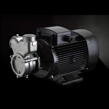 南方泵業(yè)QY（B），QYL（B）不銹鋼自吸氣液混合泵